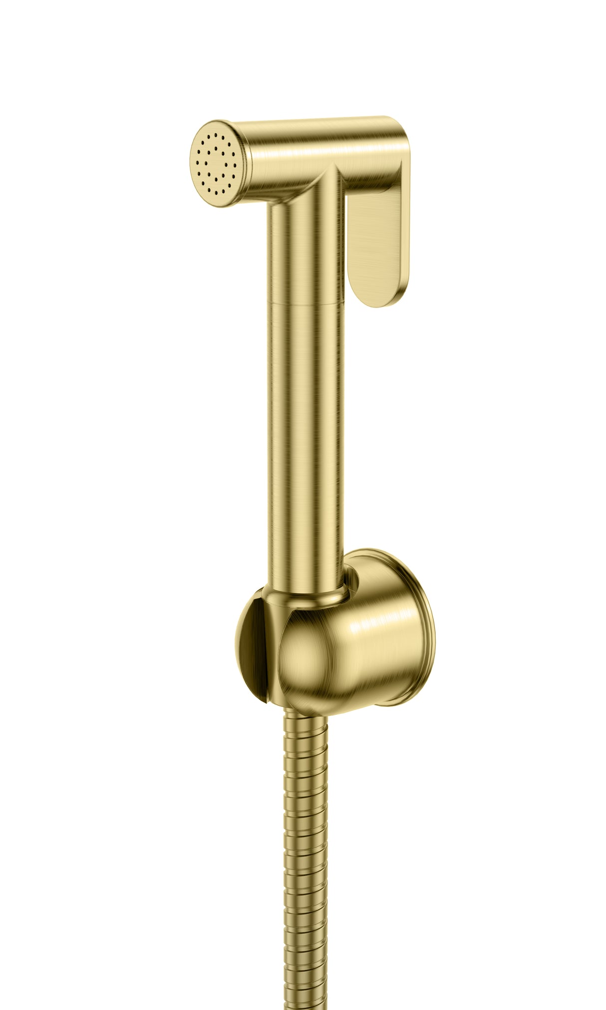 Douche Handset, Flexi Hose And Holder - 4 COLOURS !