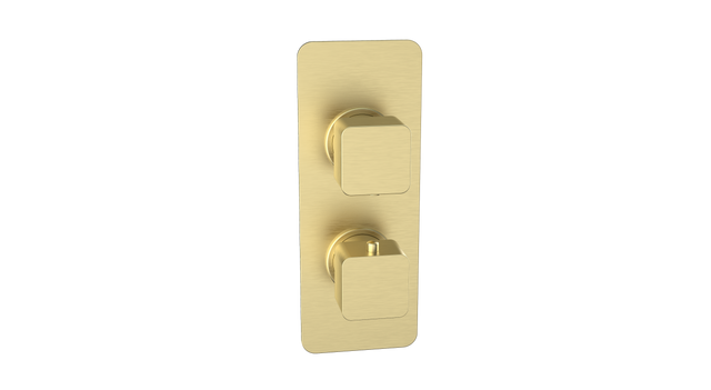 Kolt Concealed Shower Valve (Twin Outlet) Brushed Brass