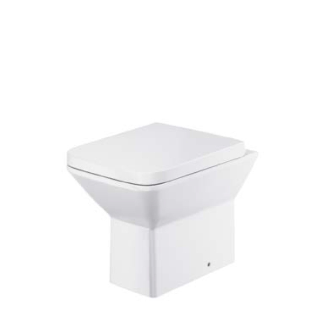 Puriti Rimless Back to Wall Pan & Soft Close Seat