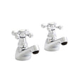 Victory Pair Basin Pillar Taps