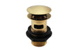 Basin Clicker Waste (Slotted) Brushed Brass