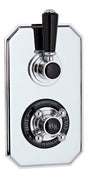 Black Topaz Twin Concealed Shower Valve