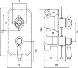Black Topaz Twin Concealed Shower Valve With Diverter