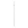 Extended Horizontal Rod