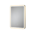 Hydrus 700mm x 500mm Brushed Brass Framed Mirror