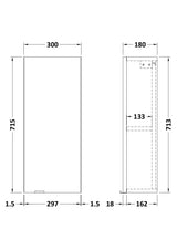 Hudson Reed Fusion 300mm 1 Door Gloss White Wall Hung Cabinet With Handles