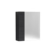 Fusion Fitted Wall Hung 2 Door Mirror Unit (75/25) 600mm