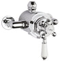 White Topaz Exposed Dual Shower Valve